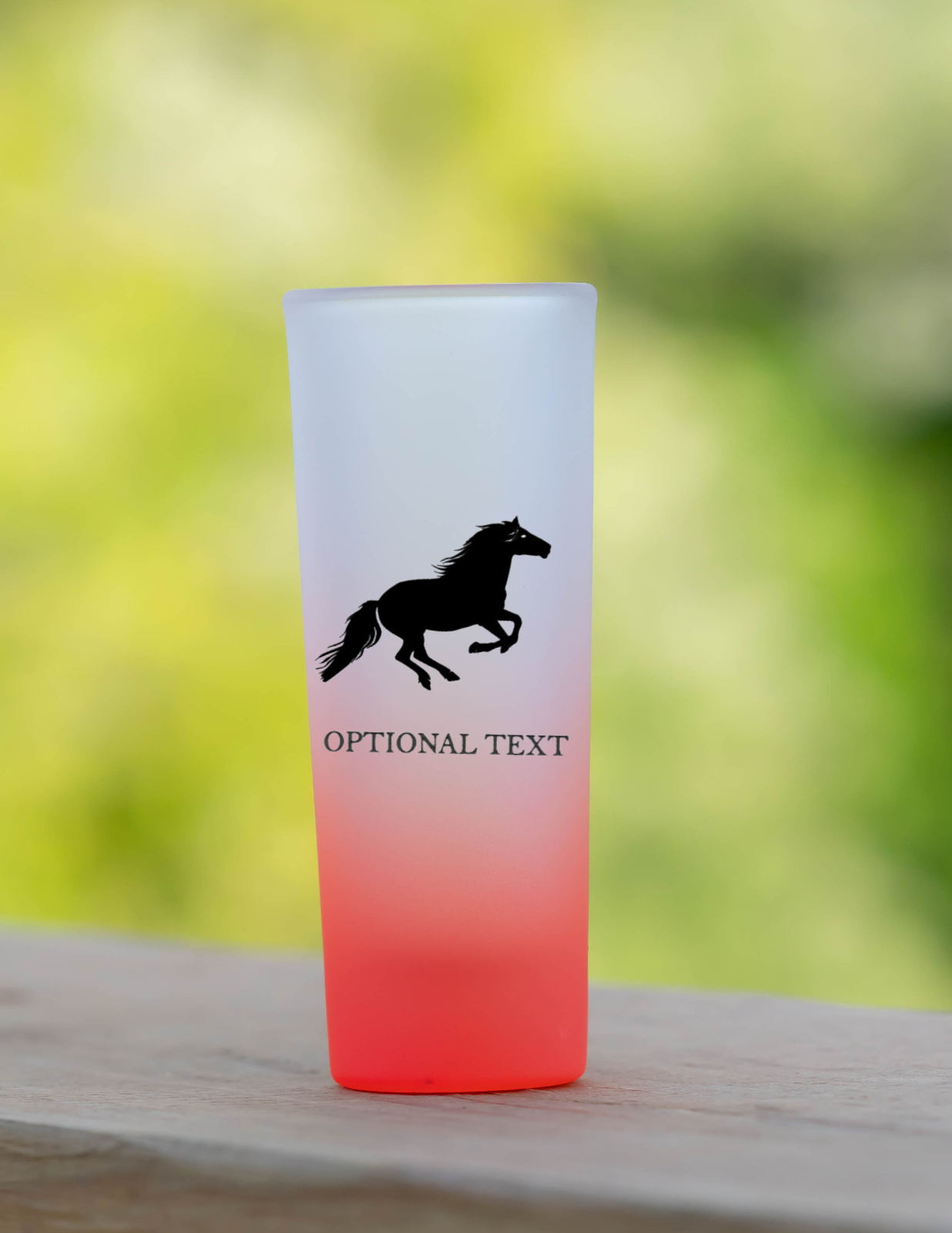 Personalized Shot Glasses Set of 6